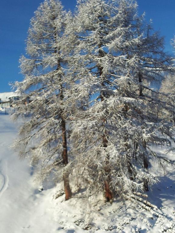 Ferienwohnung Familie Wieser Altenmarkt im Pongau Exteriér fotografie